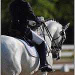 dressage
