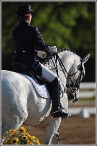 dressage