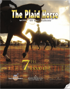plaid-horse-march-2010