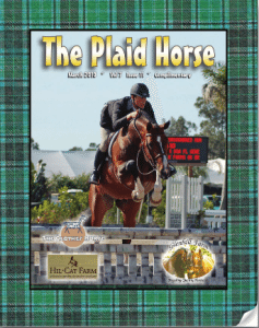 plaid-horse-2010 plaid-horse-2010