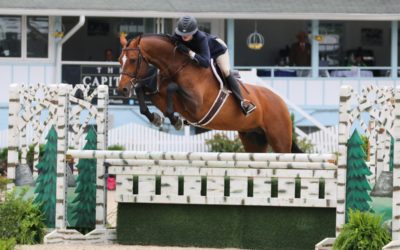 Preparation for the ring with top professional Maggie Jayne of Our Day Farm